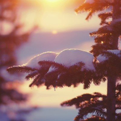 1920 x 1080 HD Wallpapers 2543